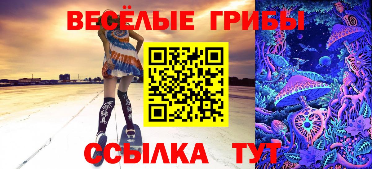 Псилоцибиновые грибы MAGIC MUSHROOMS  Вход с VPN  Реутов  Галлюциногенные грибы MAGIC MUSHROOMS 