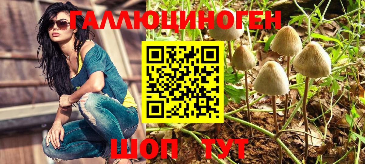 Псилоцибиновые грибы мухоморы Реутов